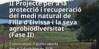 El Consell d'Eivissa abre las ayudas para conservar el paisaje agrario con 1,12 millones de euros
