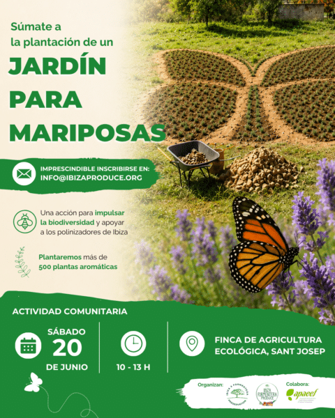 Planta un jardín para mariposas en Sant Josep este sábado