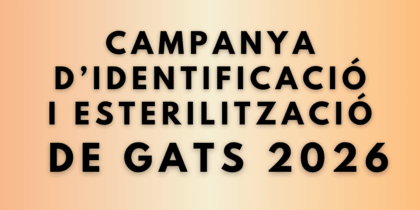 San José abre la campaña de identificación y esterilización de gatos