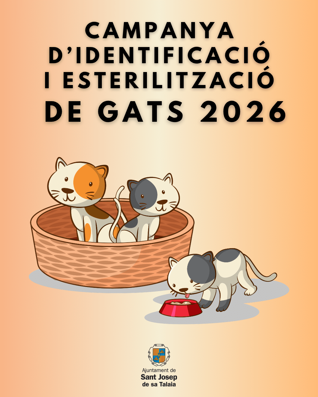 San José abre la campaña de identificación y esterilización de gatos
