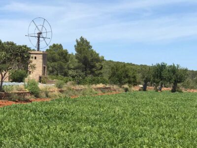 Agroeivissa