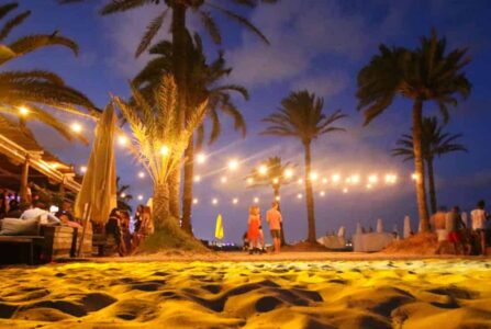 Aladdin Lights Ibiza