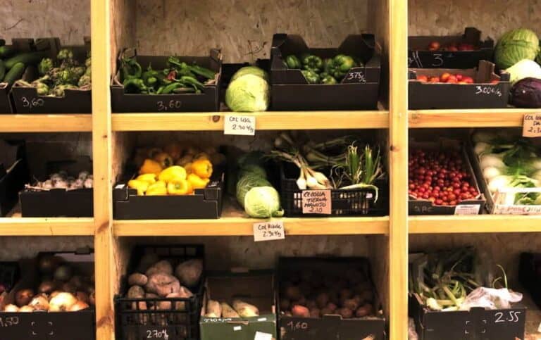 Biorganic Ibiza