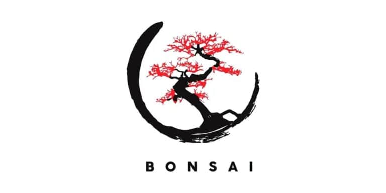 Bonsai Ibiza