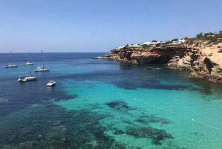 Cove Codolar