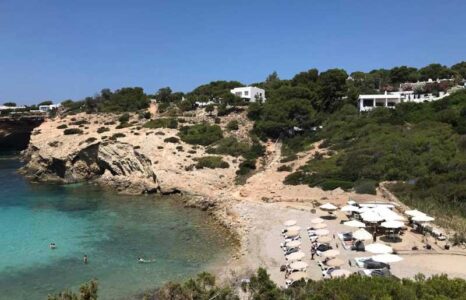 Cove Codolar