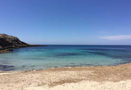 Cove Codolar