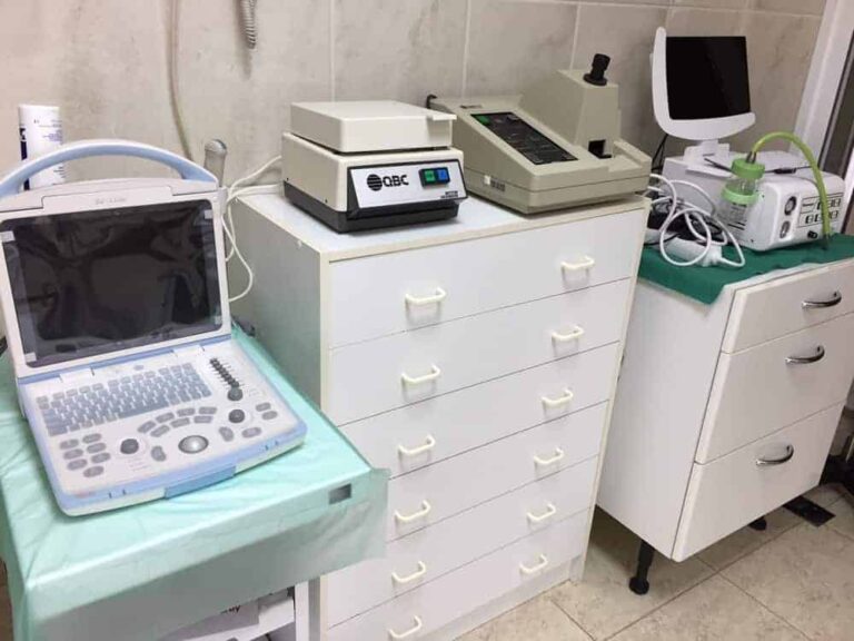 Clínica veterinaria Santa Eulalia