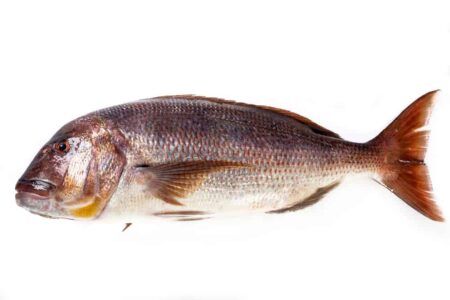 Pescados Consuelo y Pardalet