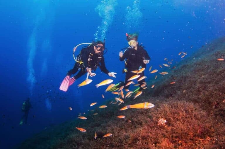 Divestar Ibiza