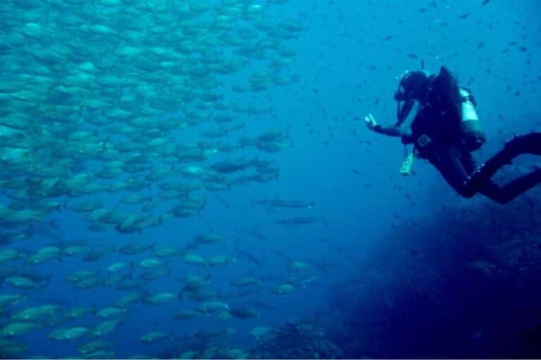 Divestar Ibiza