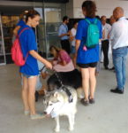 Can Misses ya es oficialmente el primer hospital 'Dog Friendly' de España