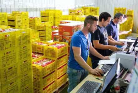Frutos Secos Ibiza