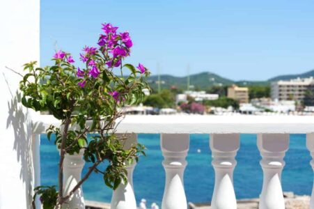 Boutique Hotel Las Arenas