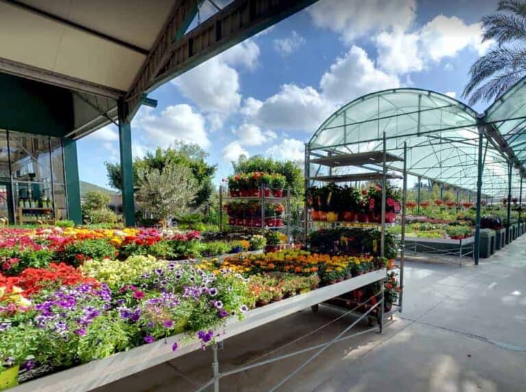 Jardín Mediterráneo