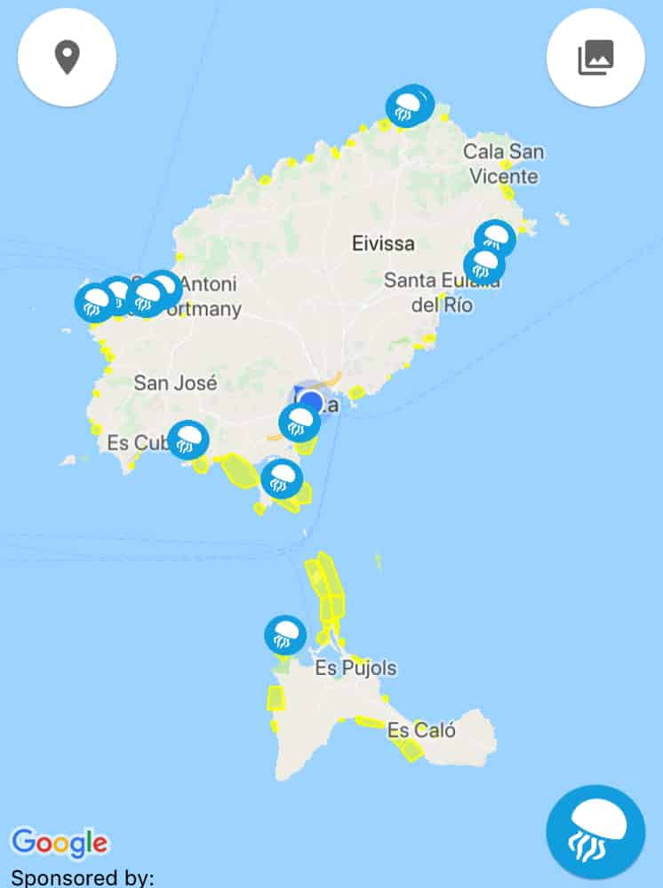 Una app te informa sobre la presencia de medusas en Ibiza Agenda cultural y de eventos Ibiza Ibiza
