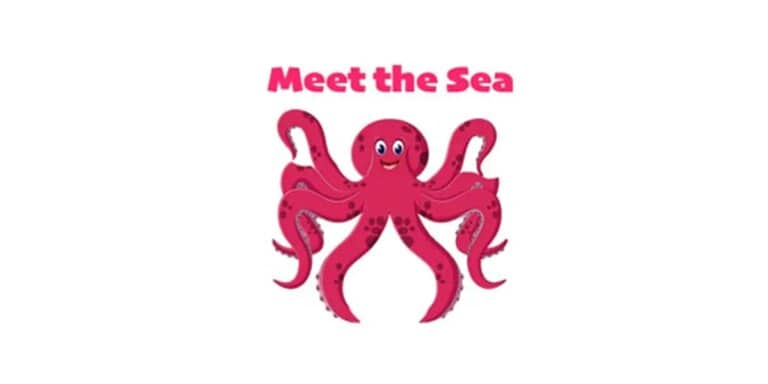 Meet the Sea