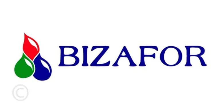 Pinturas Bizafor