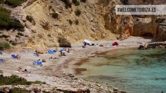 Cove Codolar