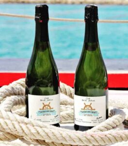 Porto Petro Ibiza Boat