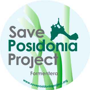 Posidonia-project-formentera