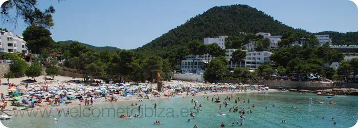S'Arenal Gran o Gros