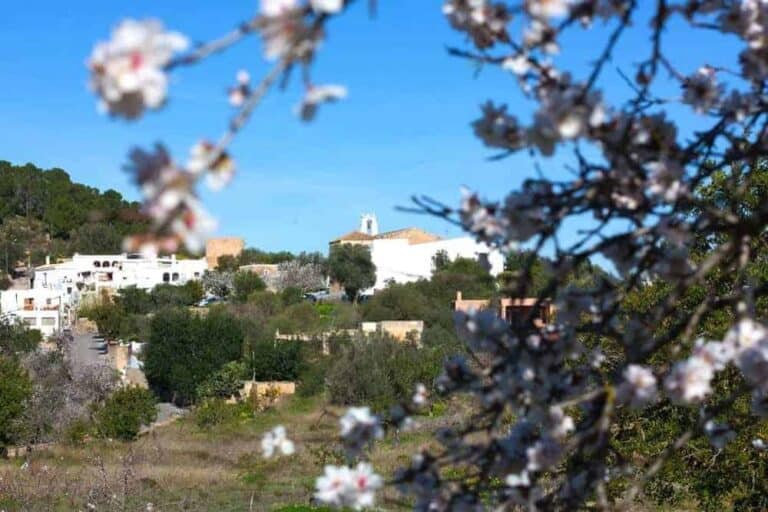 Sant Agustí des Vedrà - San Agustín, San José