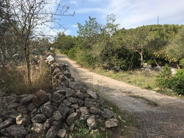 Sant Mateu d'Albarca - San Mateo
