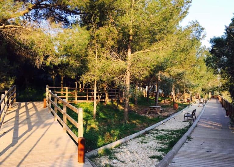 Sant Rafel de sa Creu - San Rafael, San Antonio
