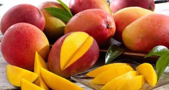 Servifruit Santa Eulalia