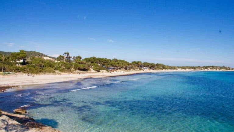 Salinas - Ses Salines