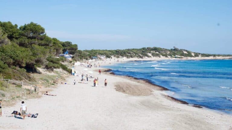 Salinas - Ses Salines