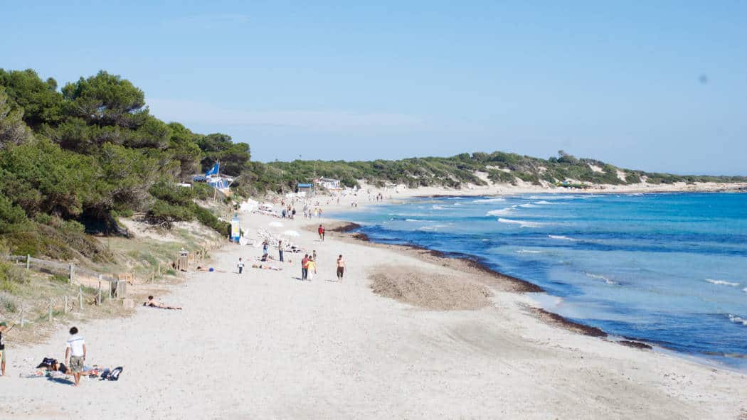 Salinas - Strand von Ses Salines mit Musik / Ambient Ibiza