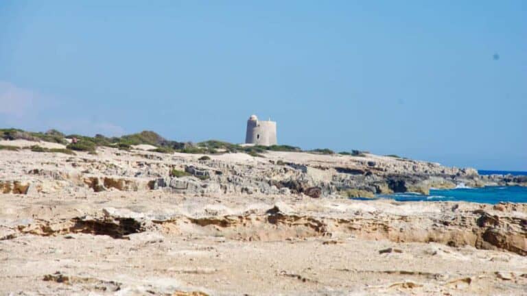 Salinas - Ses Salines