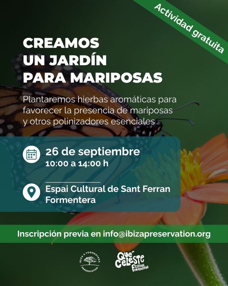 Cuatro actividades gratuitas en Formentera con Ibiza & Formentera Preservation