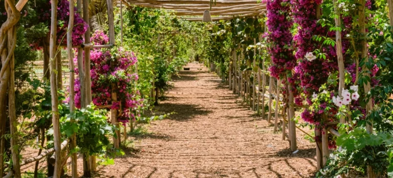 Atzaró Agroturismo Hotel Ibiza