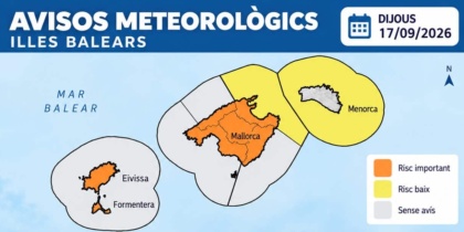 Borrador automático