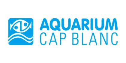 Aquarium Cap Blanc Musik Ibiza