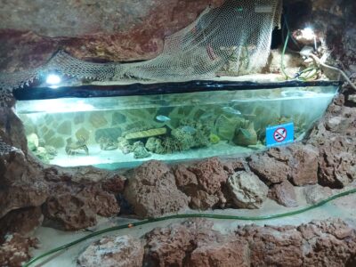 Aquarium Cap Blanc