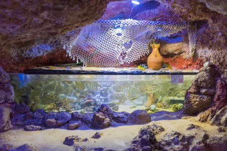 Aquarium Cap Blanc