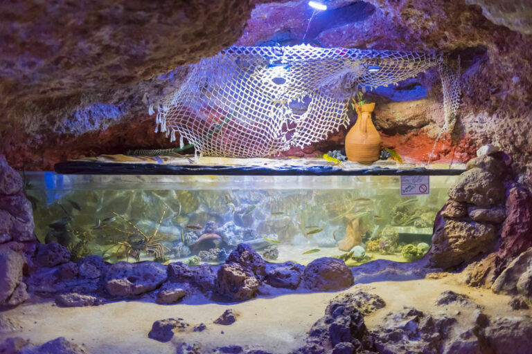 Aquarium Cap Blanc