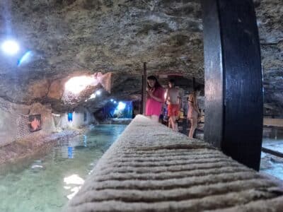 Excursión en barco al Parque Natural + Aquarium con Capitán Nemo