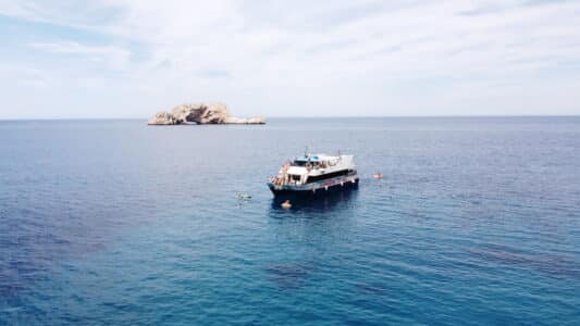 Excursión en barco al Parque Natural + Aquarium con Capitán Nemo