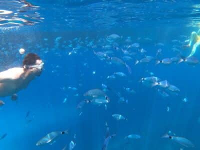 Excursión en barco al Parque Natural + Aquarium con Capitán Nemo