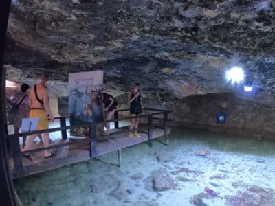 Excursión en barco al Parque Natural + Aquarium con Capitán Nemo