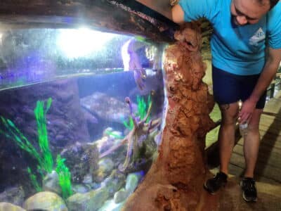 Excursión en barco al Parque Natural + Aquarium con Capitán Nemo