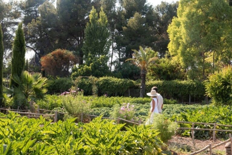 Reapertura de Atzaró Agroturismo Hotel Ibiza