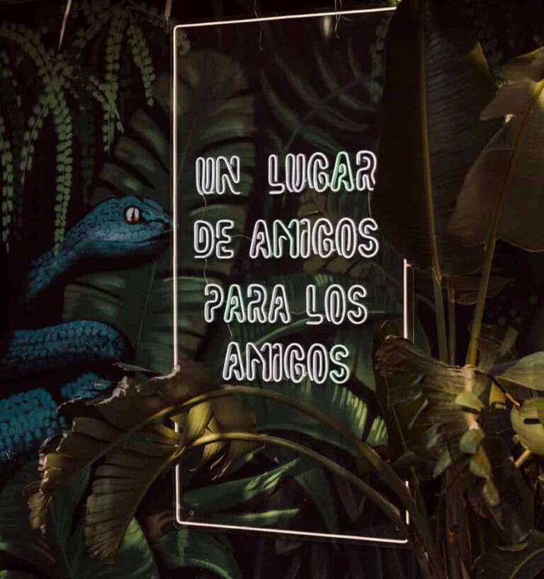 Baloo Ibiza