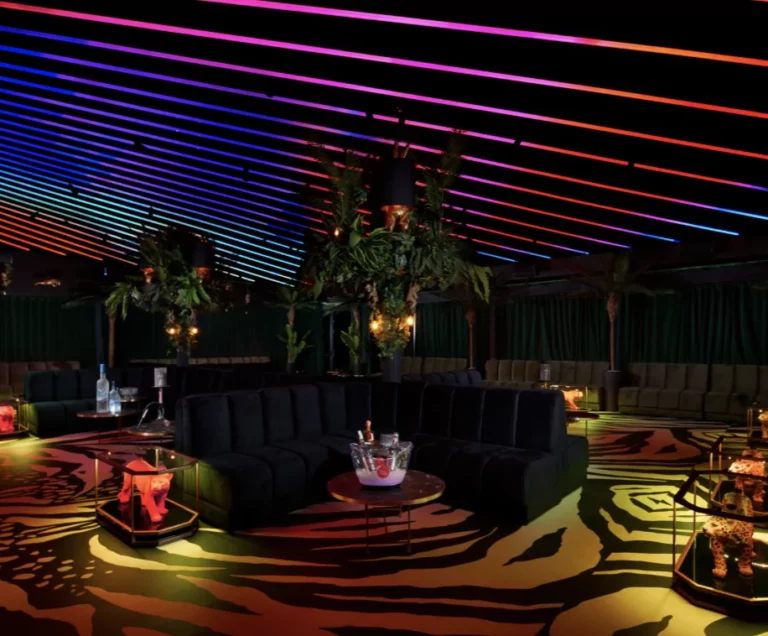 Baloo Magic Room