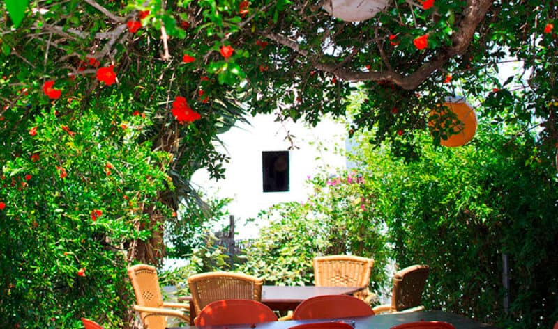 Restaurantes con terraza en Ibiza para momentos inolvidables- barcanberriibiza 1 1